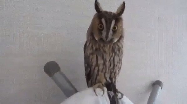  ? ?   ?