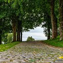  , , 52  -  16  2017       BMW