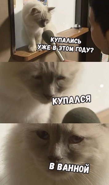  - 10  2017  15:13