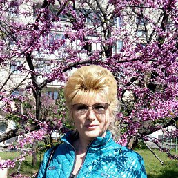 , 61,  