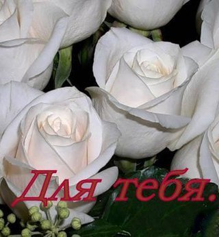 ������� ��������� - 7 ��� 2017 � 18:48