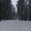  , , 50  -  6  2017