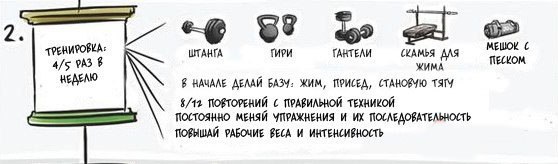 Как наращивать мышечную массу , базовые знания . Сохрани себе - 2