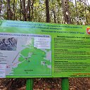  , , 60  -  16  2017        ,,14.10.17.