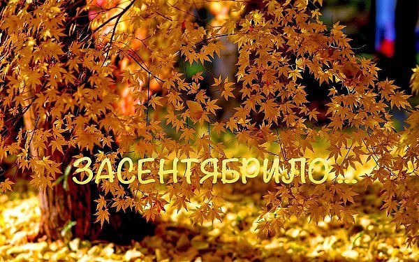 ��� ���� - 1 �������� 2017 � 15:51