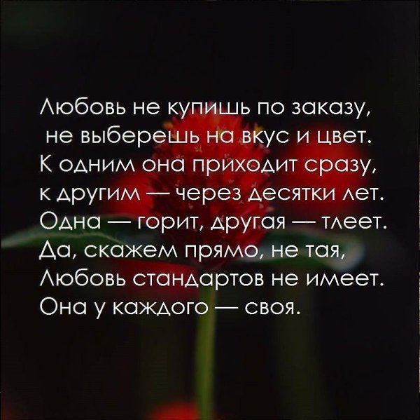 - 29  2017  13:15