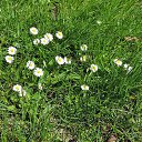  , , 60  -  23  2017    - 2017