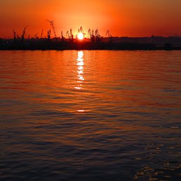 K-rauf-f, ����, 65 ���