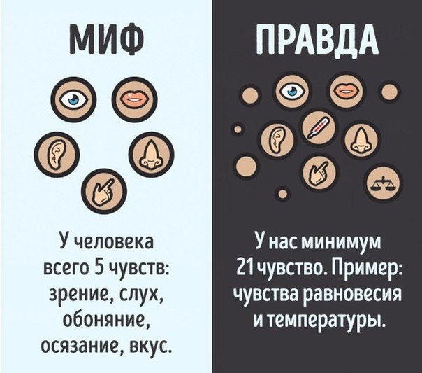 10    ,   . #@rules4life - 4