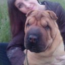 ���� ����, ������, 40 ��� - ��������� 6 �������� 2017 � ������ ���� ����������