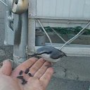 ���� ����, ����������� - ��������� 23 ������� 2017 � ������ ���� ����������