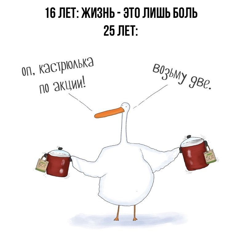   - 27  2017  03:51