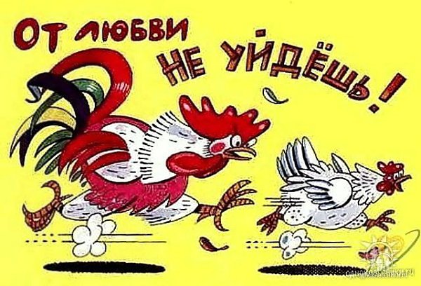  ,   ))))