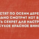 ���� �������, ������������, 36 ��� - ��������� 11 �������� 2017