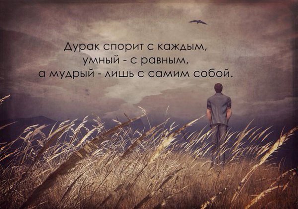  | ,  - 9  2017  16:31