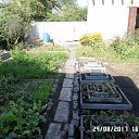 ���� �������� ����, ������, 46 ��� - ��������� 29 ������� 2017 � ������ ����