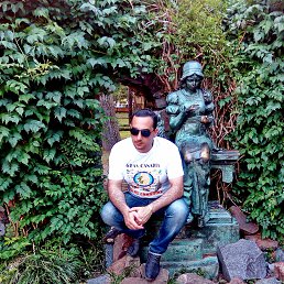 Zura, �������, 36 ���