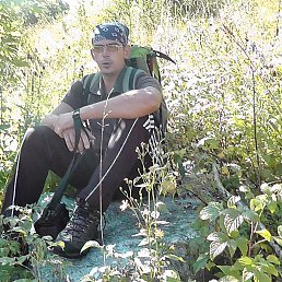 ϸ��, ������-��-����, 50 ���