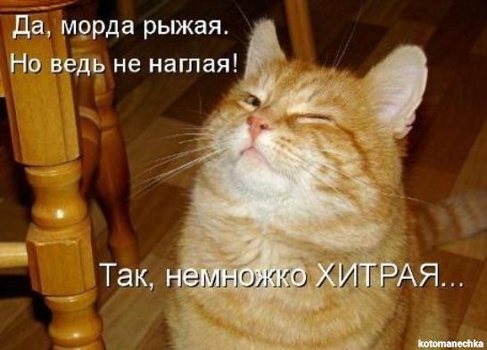    - 5  2017  18:13