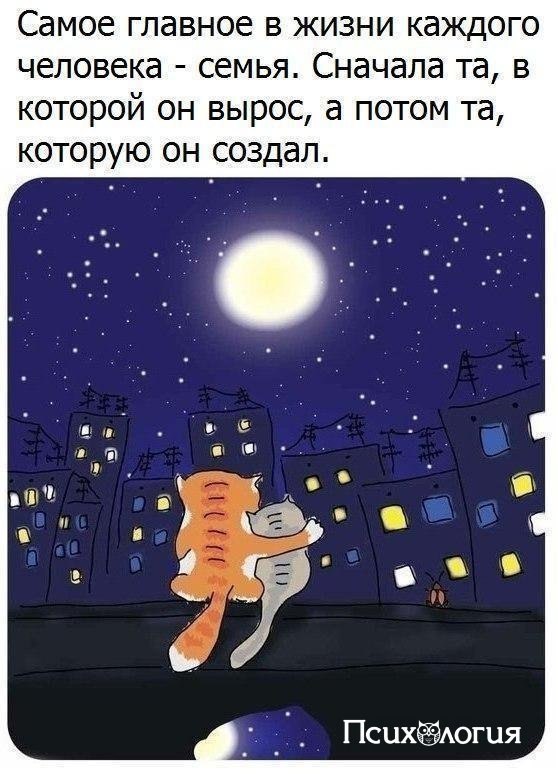  - 22  2017  23:09