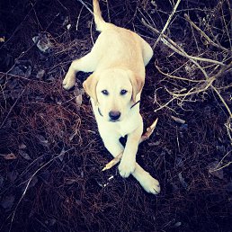 �������, ����, 29 ���