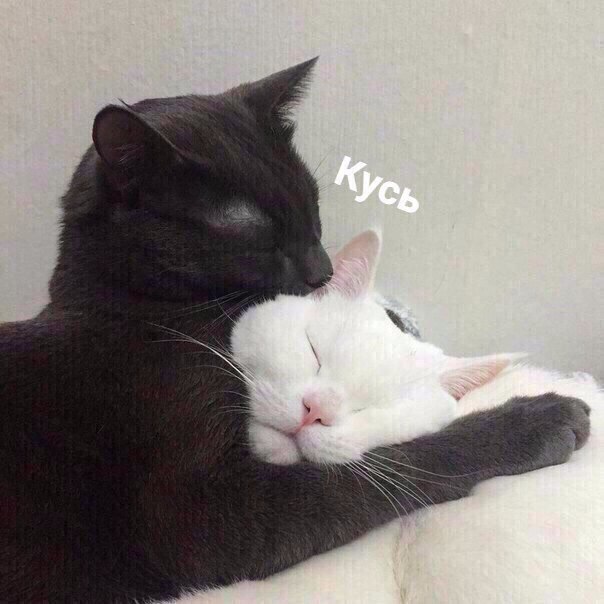   ,      - 2