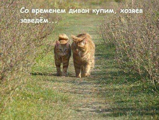 Книга рекордов - 10 июня 2017 в 17:46