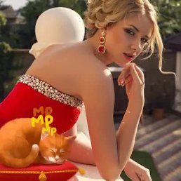 ������, ������� ��������, 66 ���