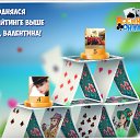 ���� ������, ������ - ��������� 29 ������� 2017 � ������ �������� �������-�������