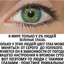 ���� �������, ������ - ��������� 17 �������� 2017 � ������ ���� ����������