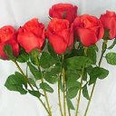 ���� ������, ������� ����, 52 ���� - ��������� 10 ������ 2017 � ������ ���� ����������