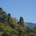  , , 60  -  2  2017   ,02.09.17. &quot;  &quot;