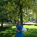 ���� ������, ���������, 63 ���� - ��������� 6 ��� 2017 � ������ ���������� ������