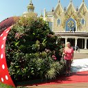 ���� �����, ������� - ��������� 24 ������� 2017 � ������ �2017-06 �������