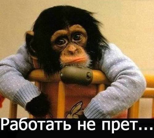 И рукава засучила,... и на ладони поплевала,.... и с духом собралась,... и настроилась на рабочий ...
