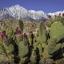 ���� �����, ��������� - ��������� 23 ��� 2017 � ������ ������ ��������