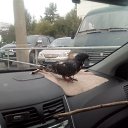 ���� ,,�����, � ��� ���� �����?", ������ - ��������� 22 �������� 2017