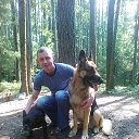 ���� ��������, ��������, 44 ���� - ��������� 1 ������ 2017 � ������ ���� ����������