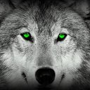 ������ �������� ������� ���� ������ ����� ������ �� ������� ������ ��������