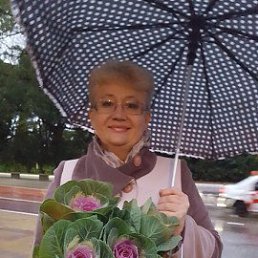 �����, ����, 66 ���