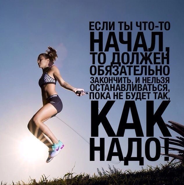 -   - 8  2017  05:05