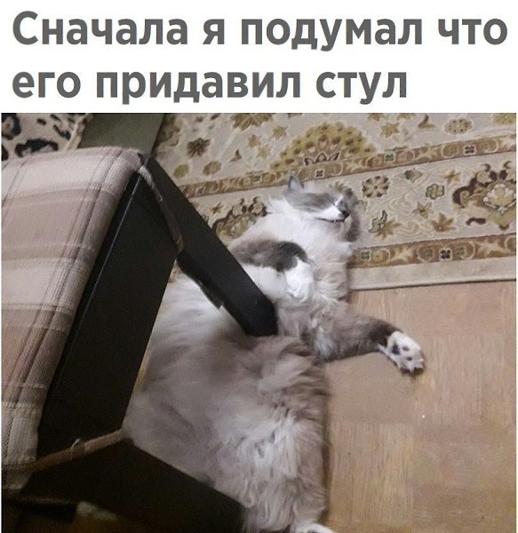  - 17  2017  03:47