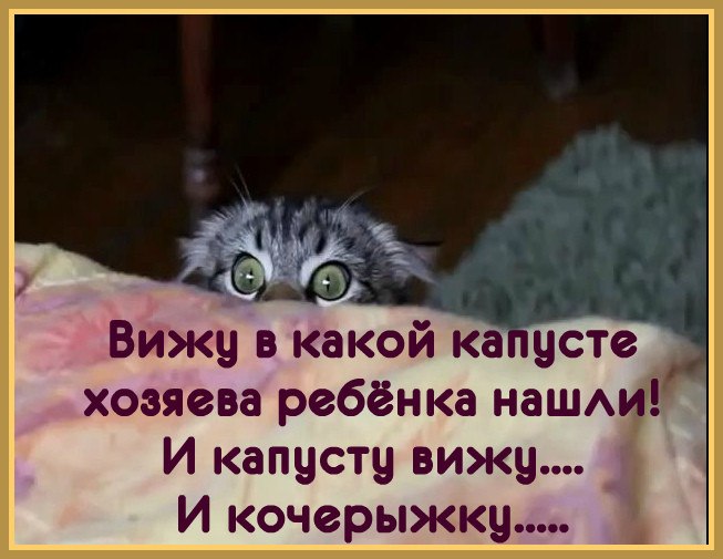 Comedy Club - 29  2017  07:16