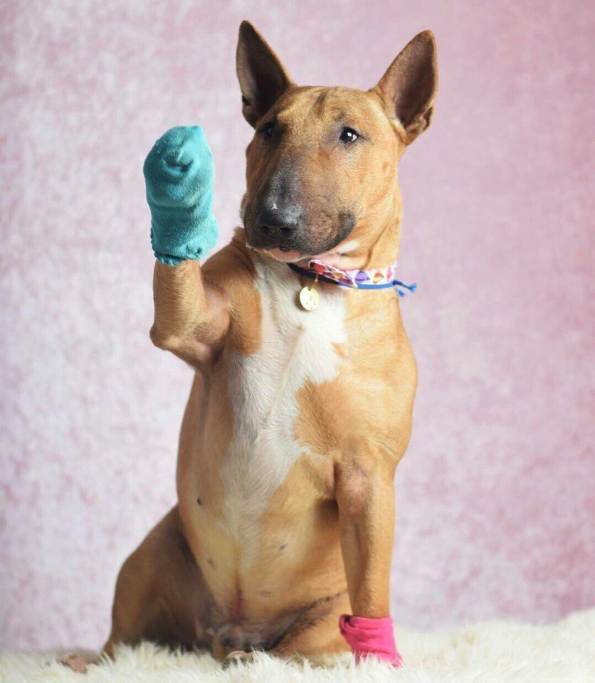 С Пятничкой всех!