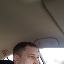 ����, �����������, 44 ����