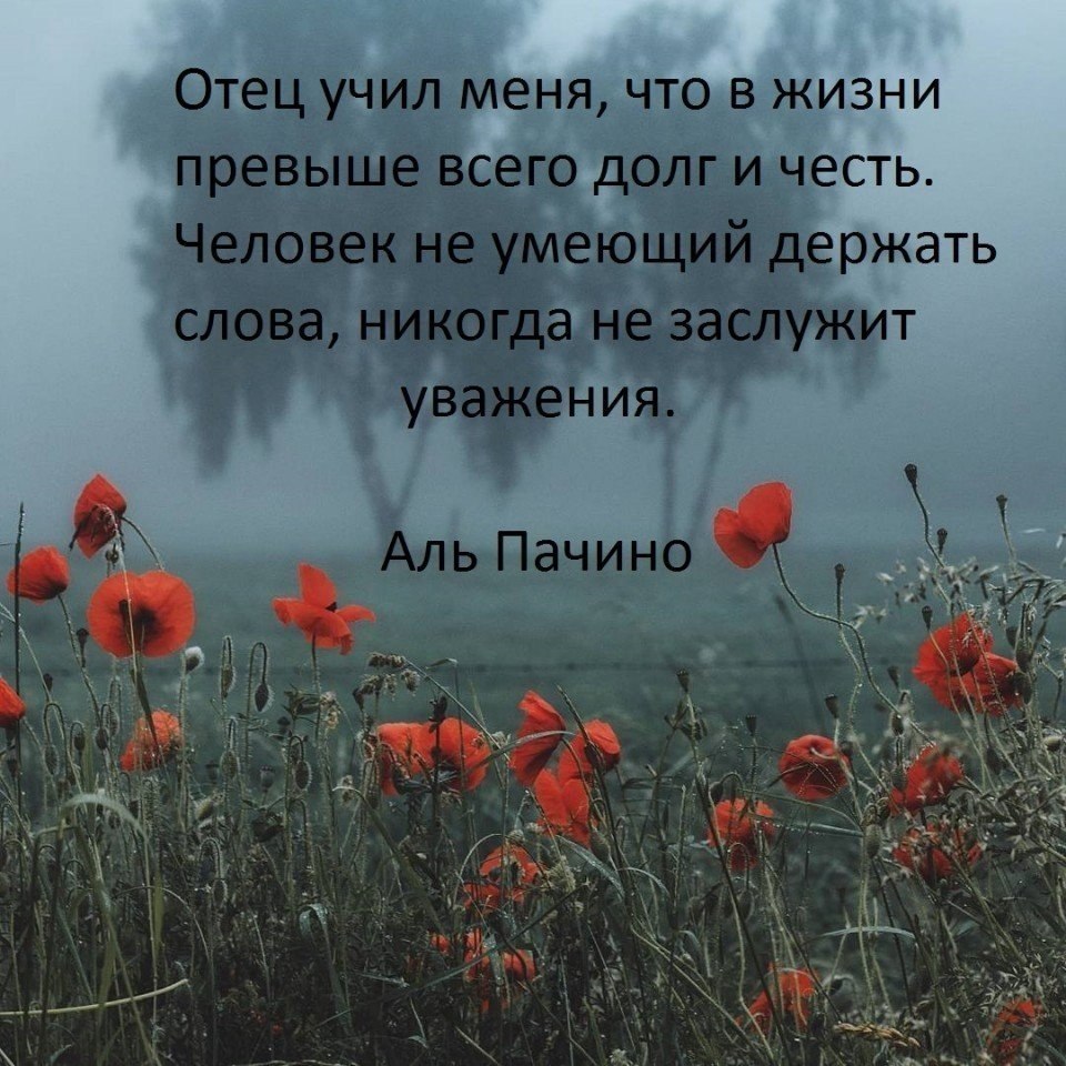     - 9  2017  21:48