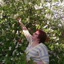 ���� �����, ��������, 56 ��� - ��������� 26 ������ 2017 � ������ ���� ����������