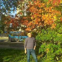 �����, ���������, 66 ���