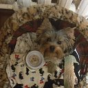 ���� Anton, ���������, 59 ��� - ��������� 30 ���� 2017 � ������ ���� ����������