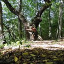 ���� �������, �����-���������, 58 ��� - ��������� 6 ������� 2017 � ������ ���� ����������